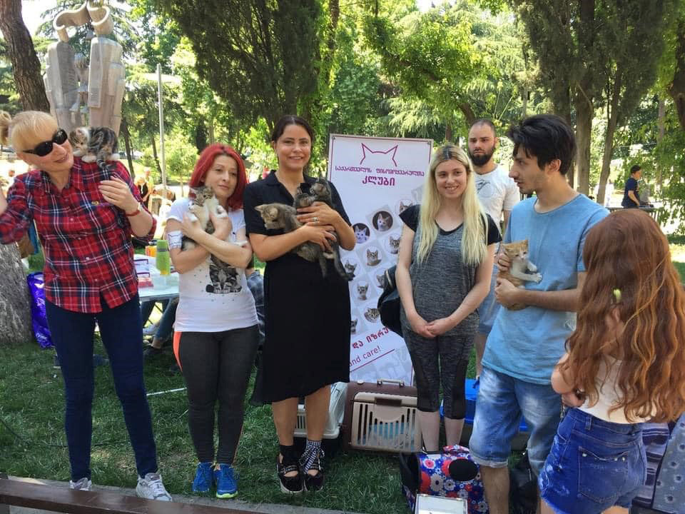 Freiwilligenprogramm